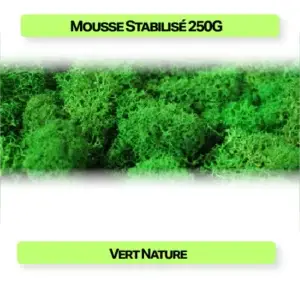 mousse stabilisée vert 250g texture naturelle